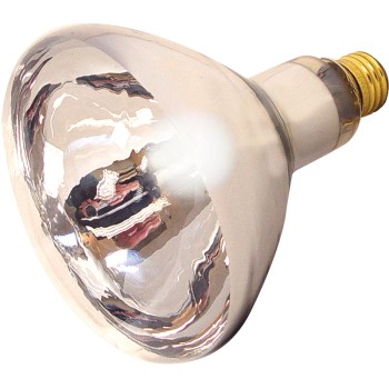 R40 Heat Lamp