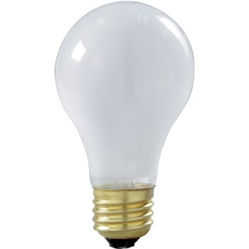 2pk Shatter Proof Bulb