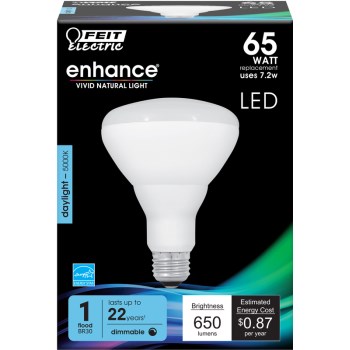 Led Br30 Bulb