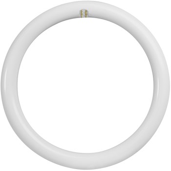 12" LED Circle Bulb