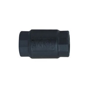 1 In Npt Ck Valve