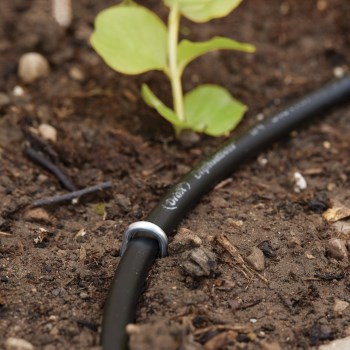 Orbit Drip Irrigation Loop Stakes - 1/4" Tubing, 10pk