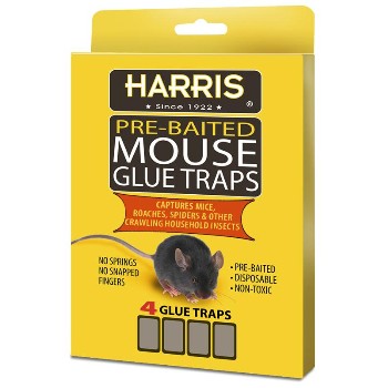Mouse Glue Trap W/Lure