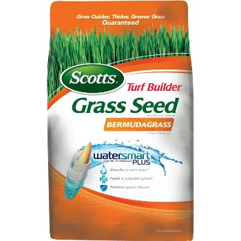 Bermuda Grass Seed