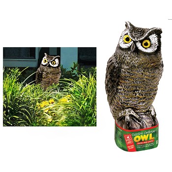 Garden Defense Owl