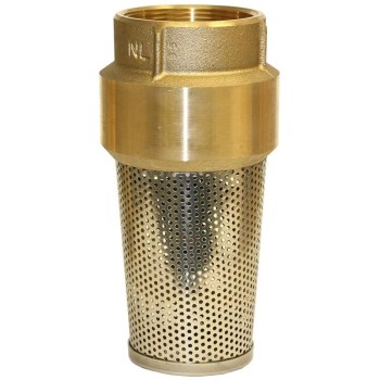 Brass Foot Valve ~ 2"