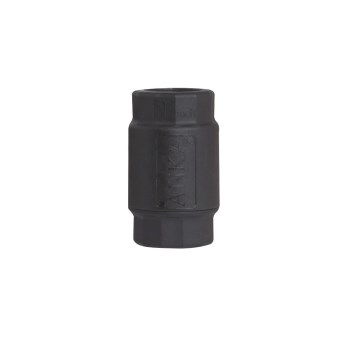 Watts ANKA Reinforced Nylon Check Valve   1"