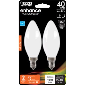 Feit Electric - 40W Equiv Frosted B10 LED Bulb 2-Pk