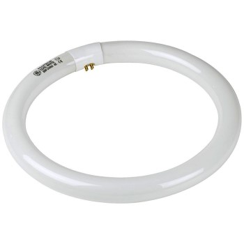 Fluorescent Light Bulb, Circular 22 Watt