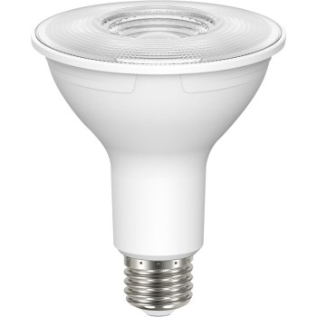 LED 8.5W PAR30L Bulb