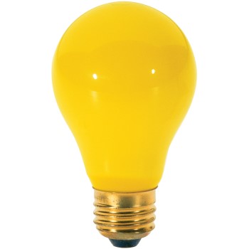 2 Pack Incandescent Bulb