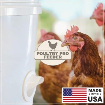 Riverbend Poultry Pro Feeder Kit - 3 Feeder Ports