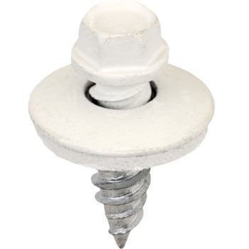 Ss1234w250 Wht #12x3/4 Screws