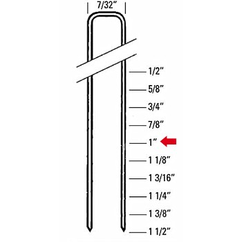 Bostitch Sx5035 1g 1" Galvanized Staples - 1 Inch