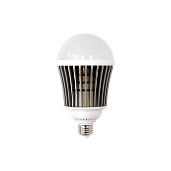 5000 Lumen Bulb