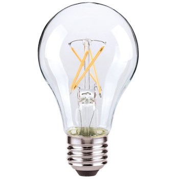 A19 Led Filament Bulb
