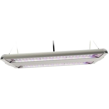 Feit Electric Blue Spectrum Dual LED Plant Grow Light -14"