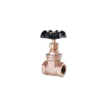 LDR Ind 0221116 1-1/4 Hd Gate Valve