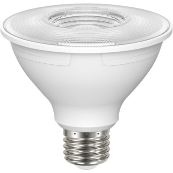 LED 8.5W PAR30S Bulb