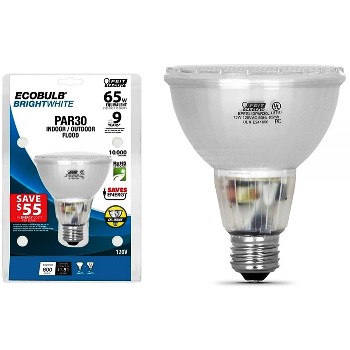 Flood, Compact Fluorescent In/Outdoor ~ 13W