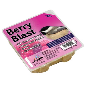 Berry Blast Suet Cake - 11.5 oz