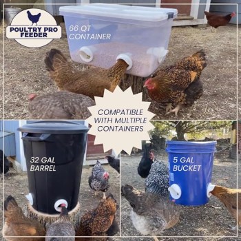 Riverbend Poultry Pro Feeder Kit - 3 Feeder Ports