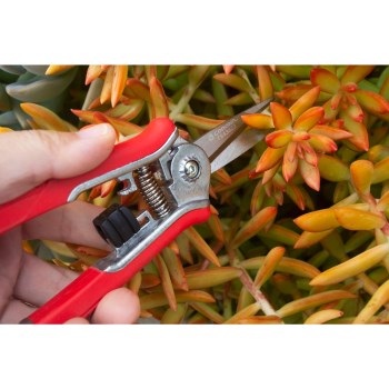 Corona Mini Floral Snips, Red