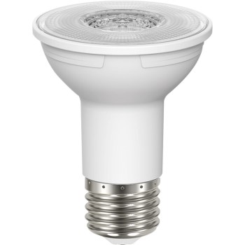 LED 5.5W PAR20 Bulb