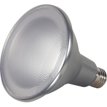 15w Led Par Bulb