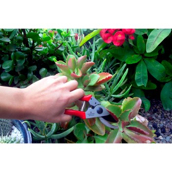 Branch and Stem Pocket Pruner