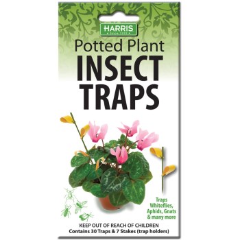 Potted Plant Traps