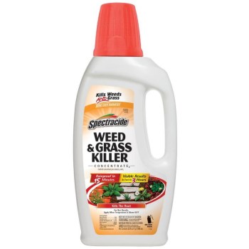 Weed and Grass Killer Concentrate 2