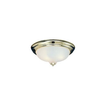  2 Light Ceiling Light Fixture, Flush Mount