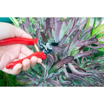 Branch and Stem Pocket Pruner