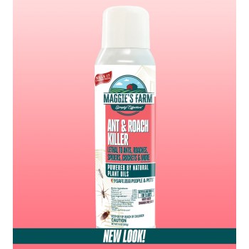 Ant & Roach Killer, 14 oz