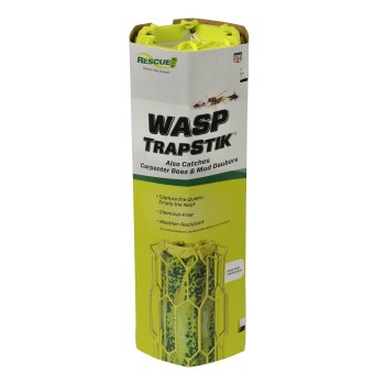 Wasp Trap