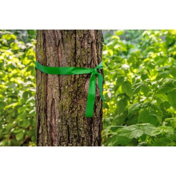 CH Hanson Flagging Tape, Green - 1-3/16" x 300 Ft