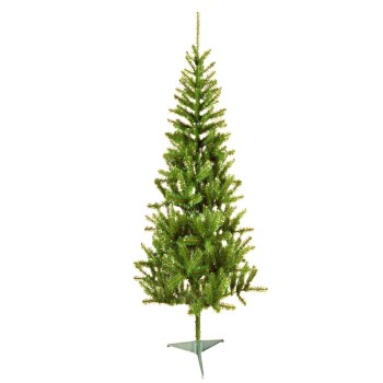 6.5 Tmook Fir Tree