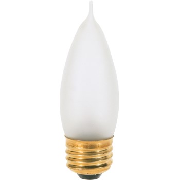 Incand Deco Bulb