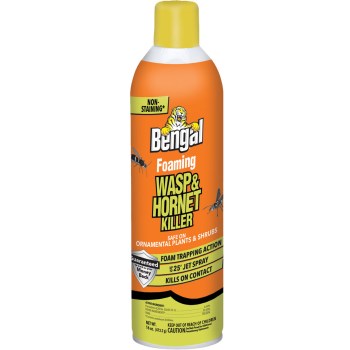 Foaming Wasp/Hornet Killer - 16 oz