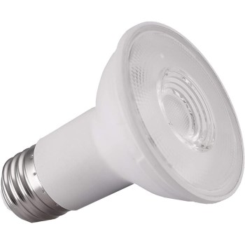 LED 6W PAR20 Econ Bulb
