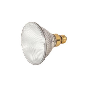 60W PAR38 Halogen Bulb