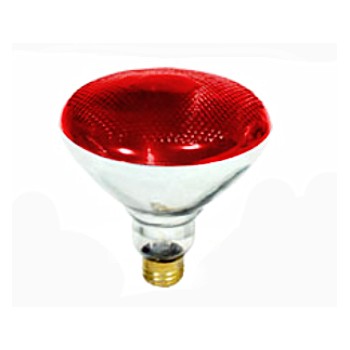 Colored Floodlight, Red 120 Volt 100 Watt