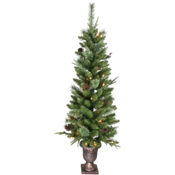 4.5 Plt Mxd Frst Pine