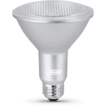 Led Par30 Bulb