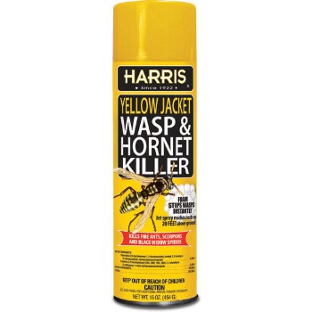 Harris  HFW-16 Wasp &amp; Hornet Spray, Foam ~ 16oz.