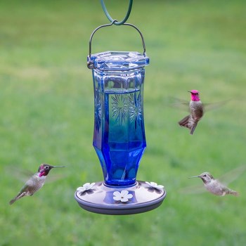 Sapphire Starburst Vintage Hummingbird Feeder - 16 oz