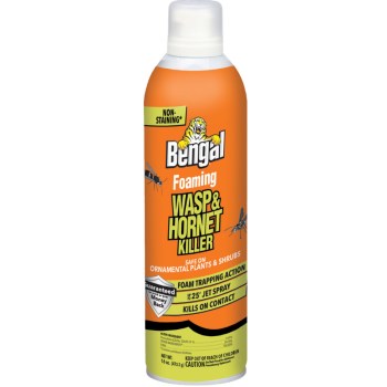 Foaming Wasp/Hornet Killer - 16 oz
