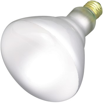 Incand Reflector Bulb