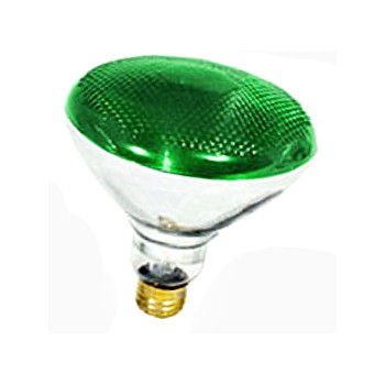 Colored Floodlight, Green 120 Volt 100 Watt